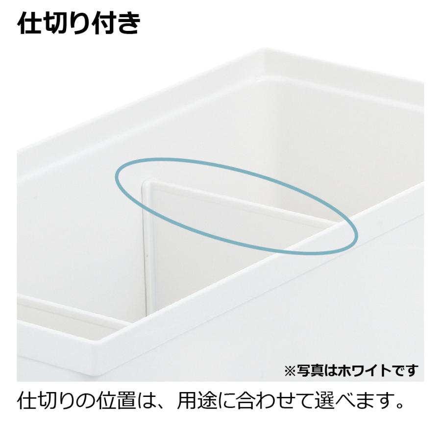 トトノ 引き出し用 調味料収納ボックスR 調味料 入れ 収納 ラック 当店限定カラー キッチン 引き出し シンク下 収納 プラスチック 日本製 国産 リッチェル 公式 | リッチェル | 03