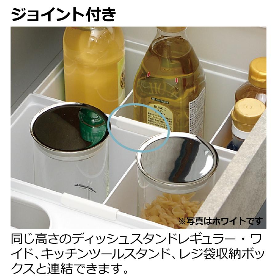 リッチェル（Richell） トトノ 引き出し用 調味料収納ボックスR 調味料