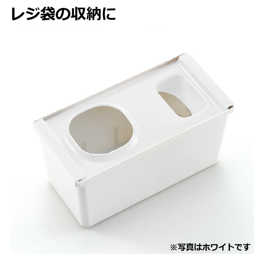 ES トトノ 引き出し用 レジ袋収納ボックスR レジ袋 ボックス 家庭 ハウス 用品 当店限定カラー ビニール レジ ケース プラスチック 日本製 国産 リッチェル 公式 | リッチェル | 01