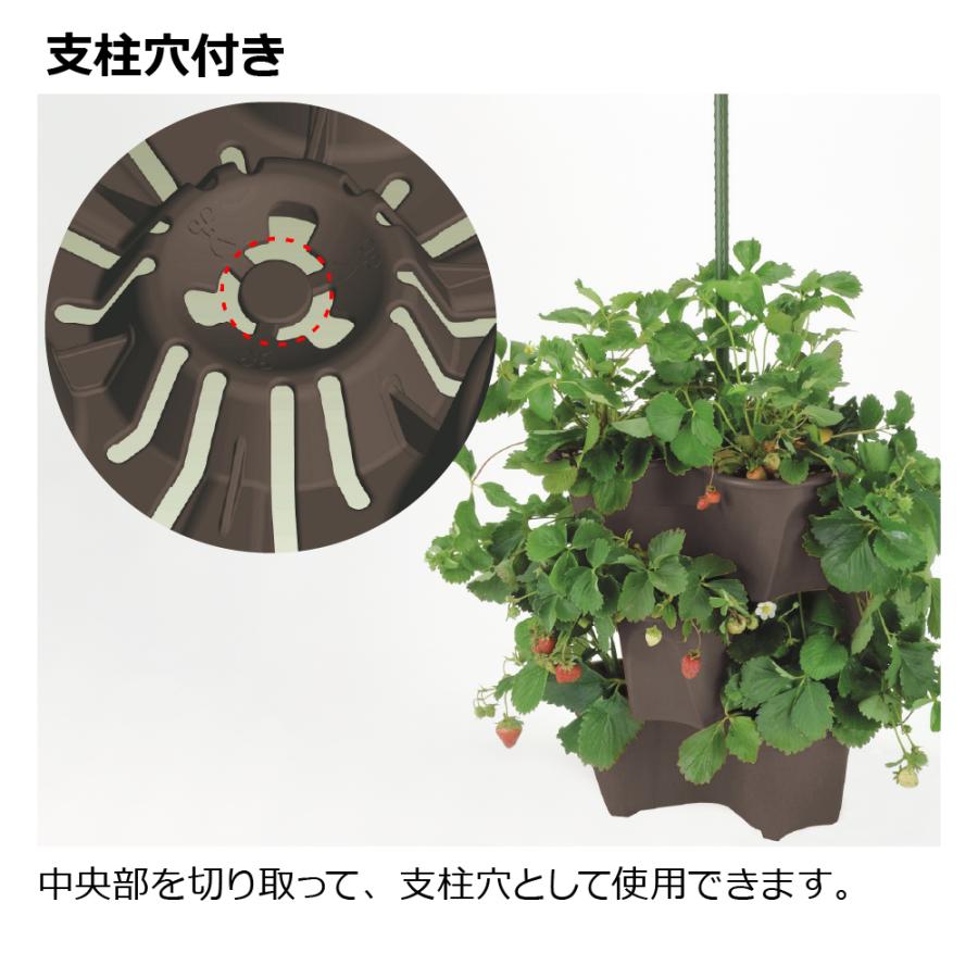 ポケットプランター 43型 2個セット 鉢 ガーデニング 大型 植木鉢 野菜 果樹 イチゴ 花 ベランダ 積み重ね 立体花壇 栽培 日本製 リッチェル | リッチェル | 05