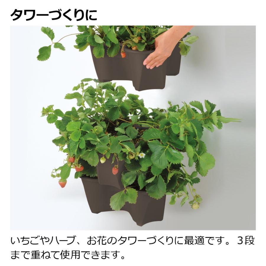 ポケットプランター 43型 3個セット ガーデニング 大型 プランター 植木鉢 野菜 果樹 イチゴ 花 ベランダ 積み重ね 立体花壇 栽培 リッチェル | リッチェル | 02