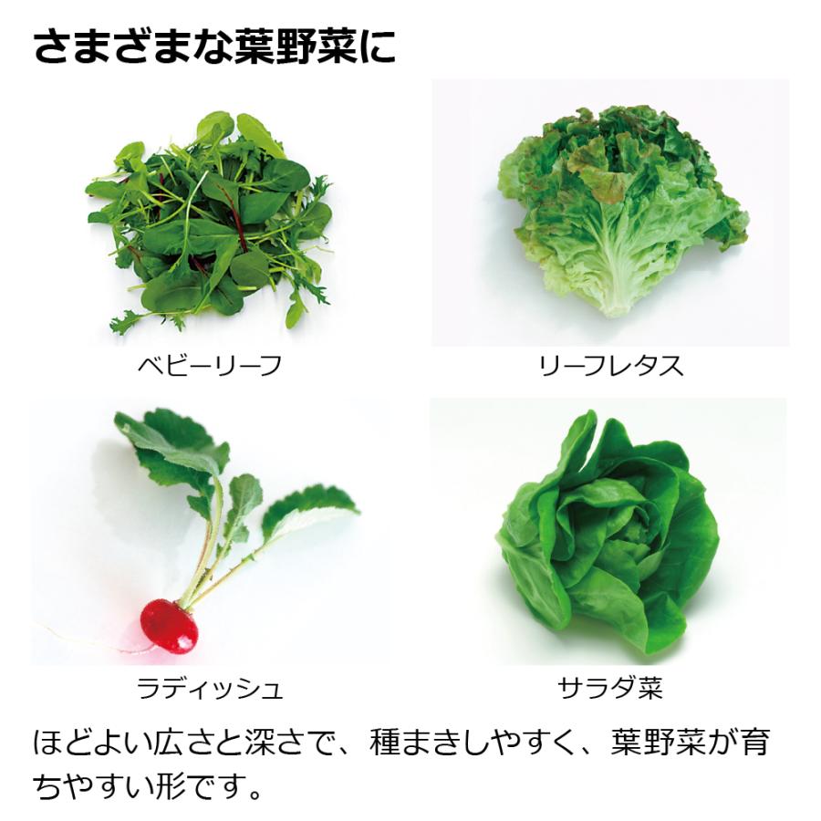 緑のやさいプランター 50型 2個セット 鉢 プランター セット ガーデニング 大型 プランター 植木鉢 野菜 花 ベランダ リッチェル | リッチェル | 02