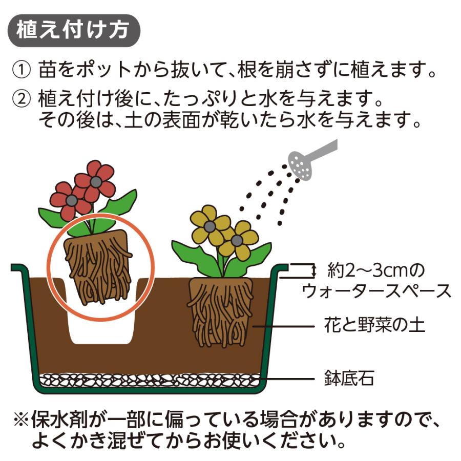 緑のやさいプランター 50型 花と野菜の土 10L 2個セット 大型 プランター 植木鉢 野菜 花 ベランダ 屋外 家庭菜園 花壇 栽培 日本製 リッチェル | リッチェル | 10