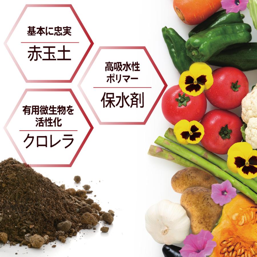 緑のやさいプランター 50型 花と野菜の土 10L 2個セット 大型 プランター 植木鉢 野菜 花 ベランダ 屋外 家庭菜園 花壇 栽培 日本製 リッチェル | リッチェル | 07