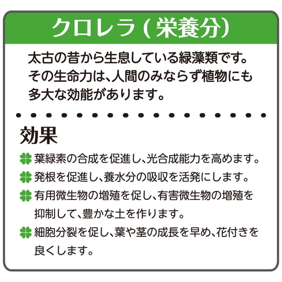 緑のやさいプランター 50型 花と野菜の土 10L 2個セット 大型 プランター 植木鉢 野菜 花 ベランダ 屋外 家庭菜園 花壇 栽培 日本製 リッチェル | リッチェル | 08