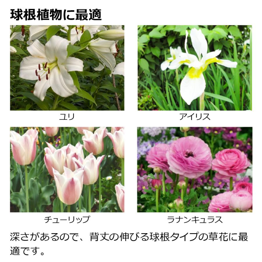 深型プランター 60型 3個セット 鉢 プランター セット ガーデニング 大型 植木鉢 野菜 花 ベランダ 屋外 家庭菜園 深め まとめ買い 日本製 国産 リッチェル 公式 | リッチェル | 02