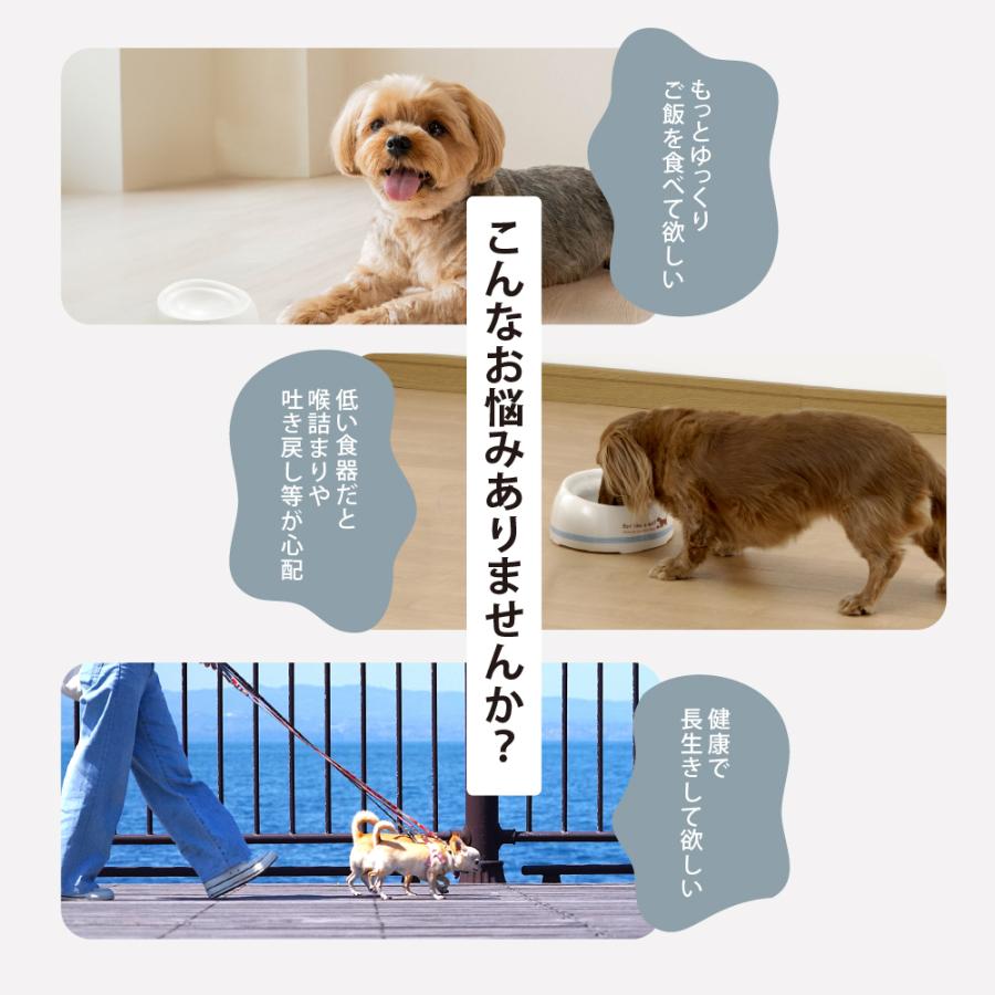 高さがある 早食い防止食器 SS 食器洗いメッシュセット ペット 犬 食器 犬用食器 早食防止 ごはん皿 水飲み フードボウル 食べやすい リッチェル サンコー 公式 | リッチェル | 01