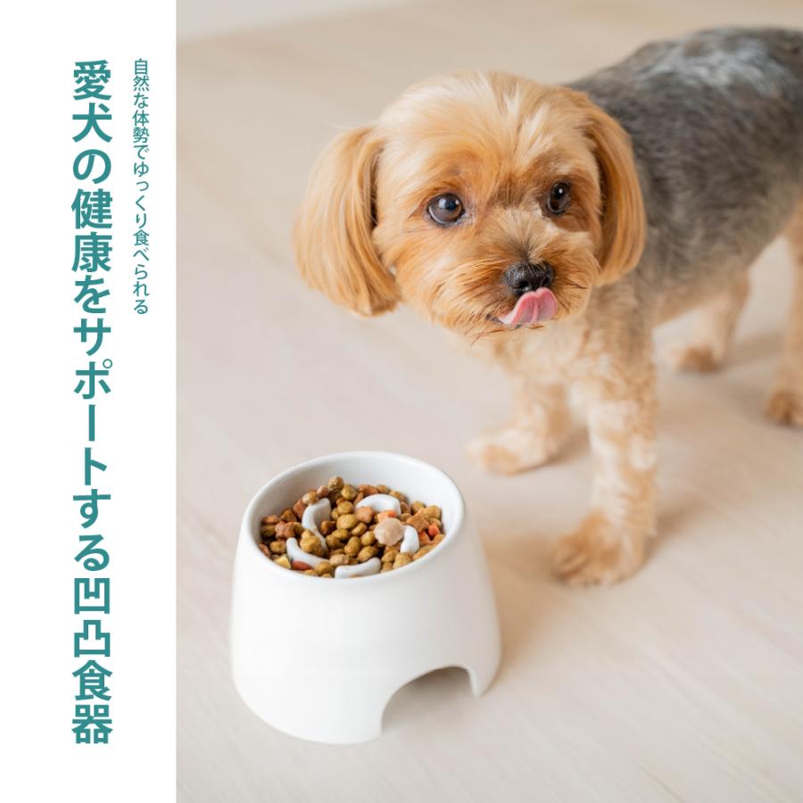 高さがある 早食い防止食器 SS 食器洗いメッシュセット ペット 犬 食器 犬用食器 早食防止 ごはん皿 水飲み フードボウル 食べやすい リッチェル サンコー 公式 | リッチェル | 03