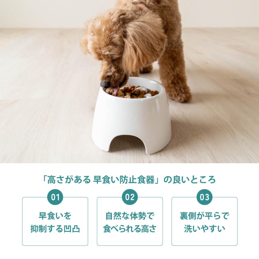 高さがある 早食い防止食器 S 食器洗いメッシュセット ペット 犬 食器 犬用食器 早食防止 ごはん皿 水飲み フードボウル 食べやすい リッチェル サンコー 公式 | リッチェル | 02
