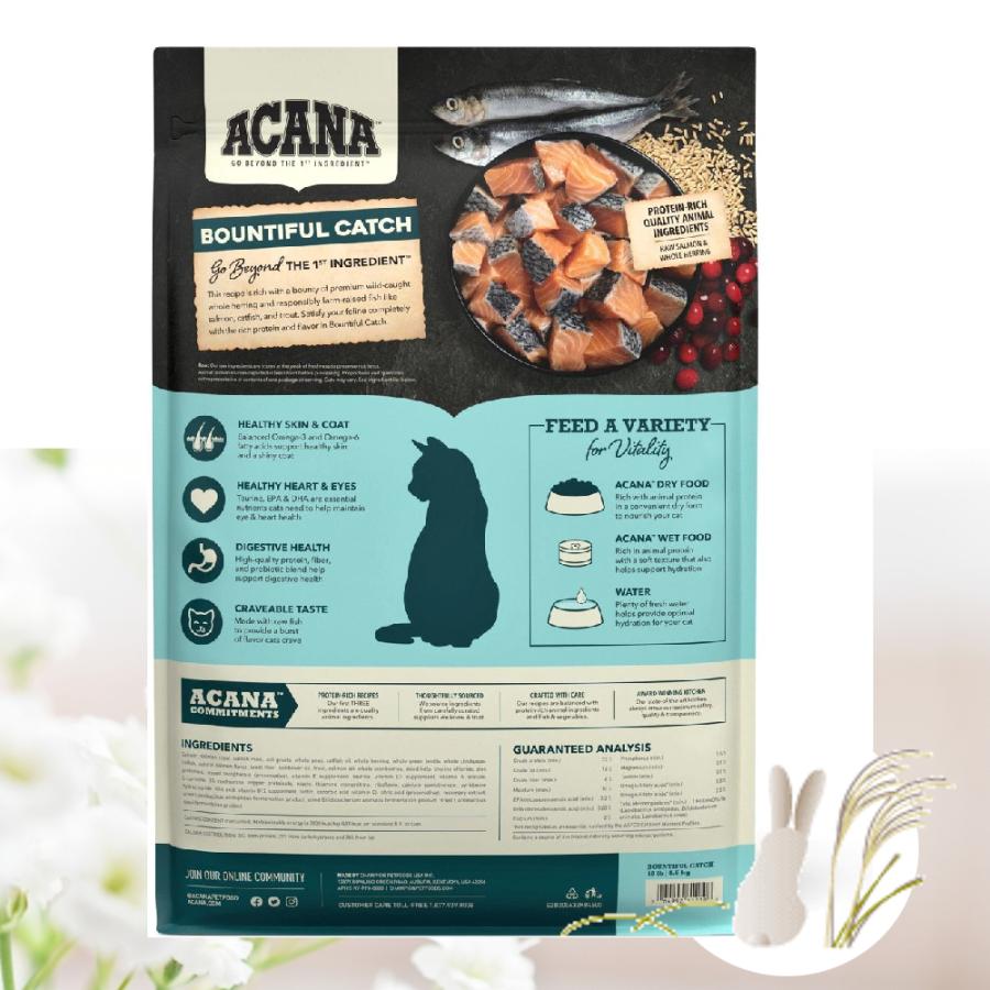 猫フード アカナ バウンティフルキャッチキャット インドアエントリーキャット 猫フード アカナ バウンティフルキャッチキャット インドア