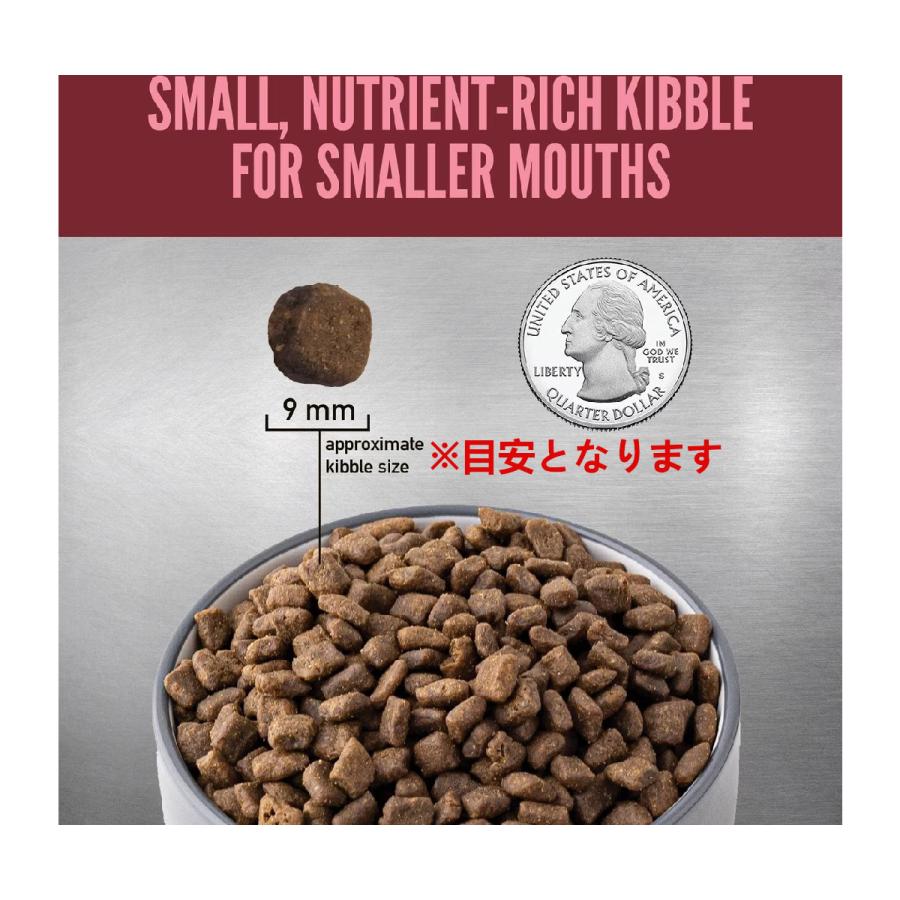 ORIJEN(ペット用品) 【ご予約】 オリジン スモールブリード ORIJEN(ペット用品) 【ご予約】 オリジン スモールブリード