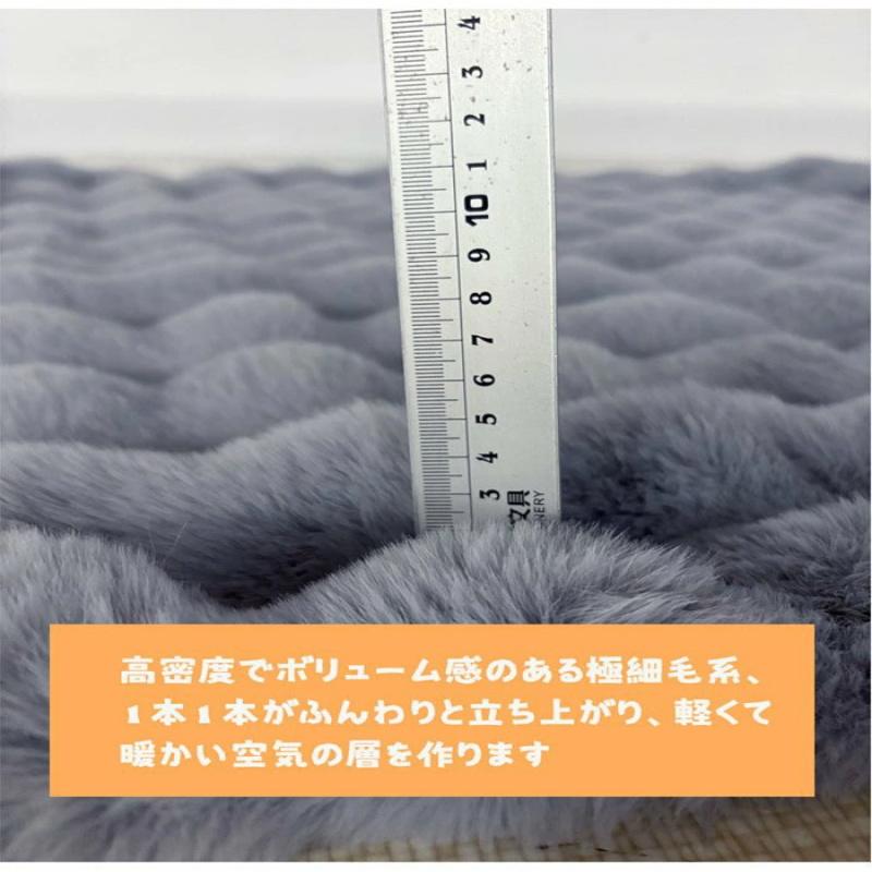 電気毛布 ふわとろ毛布 USB 着る毛布 着る電気毛布 ダニ退治 8枚発熱