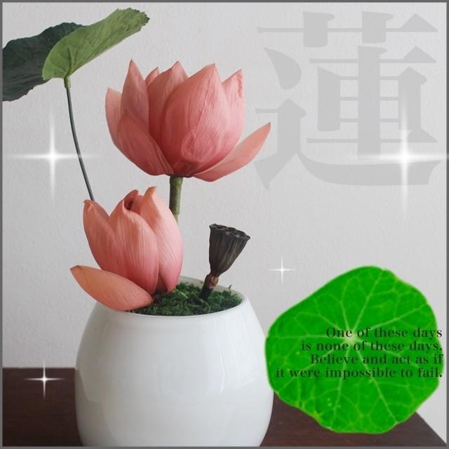 送料無料 はすのプリザーブドフラワー ホワイトガラスロータス 蓮 プリザード お供え お盆 お墓参り 四十九日 供養 法事 法要 Pz Lu26 Richild 通販 Yahoo ショッピング