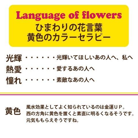 送料無料/ひまわり畑そのままにプリザーブドフラワー｜ナチュラルガーデンソレイユ L/黄色・金運/ヒマワリ・向日葵・プリザード/3営業日以内に発送｜richild｜06