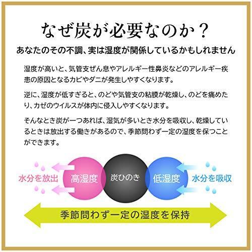 数量は多 古代出雲 炭ひのき 調湿 除湿 脱臭 消臭 ペット カビ ダニ 湿気 大2個セット 楽天市場 Www Technet 21 Org