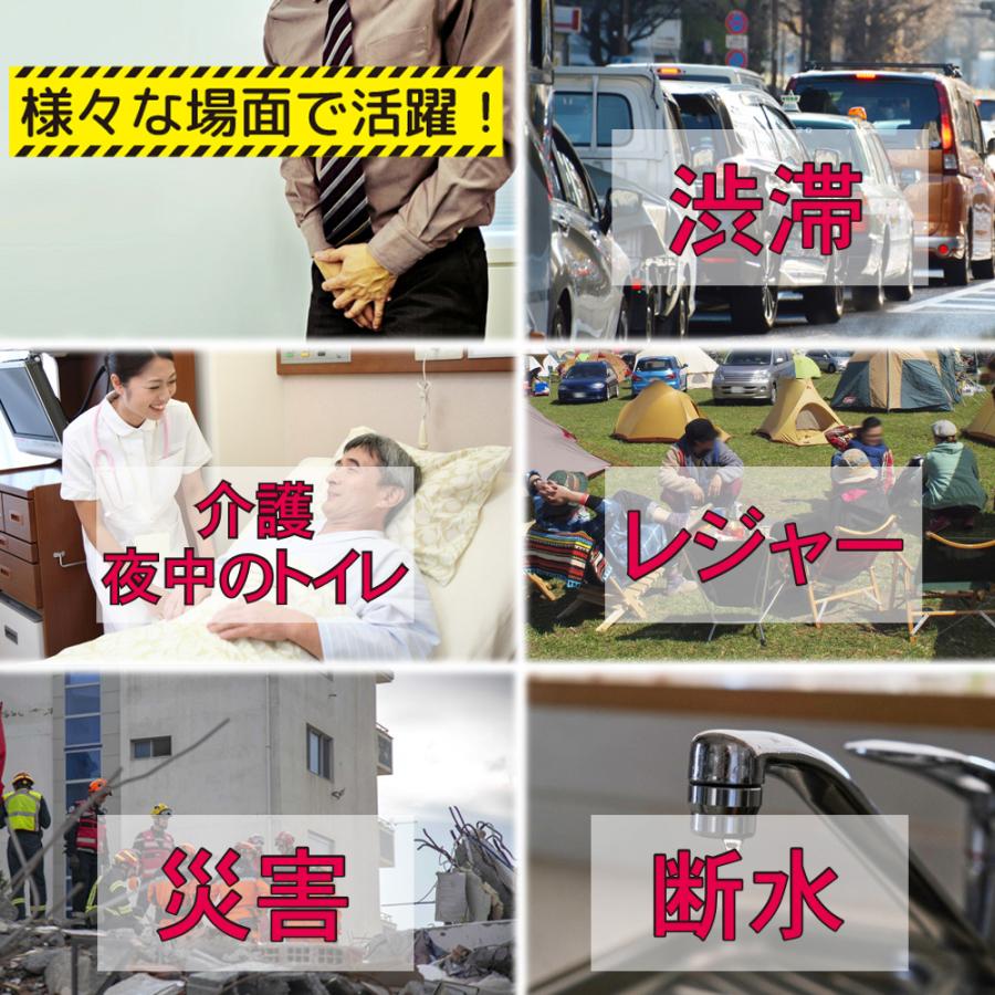 携帯トイレ 女性用 大便用 車 ドライブ用 トライアル お試しセット