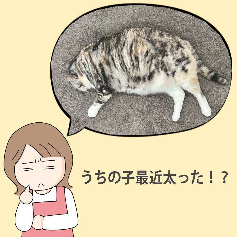 LEDポインター 猫 おもちゃ レーザーポインター 猫おもちゃ 猫じゃらし