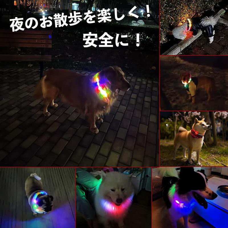 LED　光るキャンパス　仔犬とキャンドル（Silent Night） LED 光るキャンパス 仔犬とキャンドル（Silent Night）