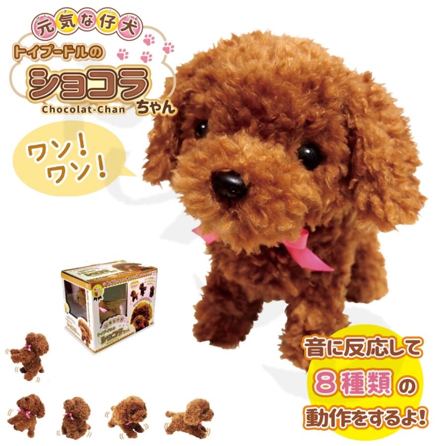 よびかけアクション 元気な仔犬 トイプードルのショコラちゃん 可愛い 癒し ペット リコニクス39 通販 Yahoo ショッピング