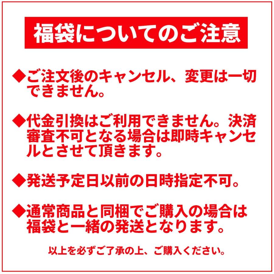 ミキハウス 2024年 新春福袋 5万円 女の子用 (80cm-150cm)ミキハウス正規販売店●fuku-｜rickytown2｜03