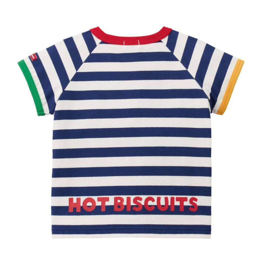 セール30%OFF！ホットビスケッツ ビーンズくん くまのお顔 ボーダー