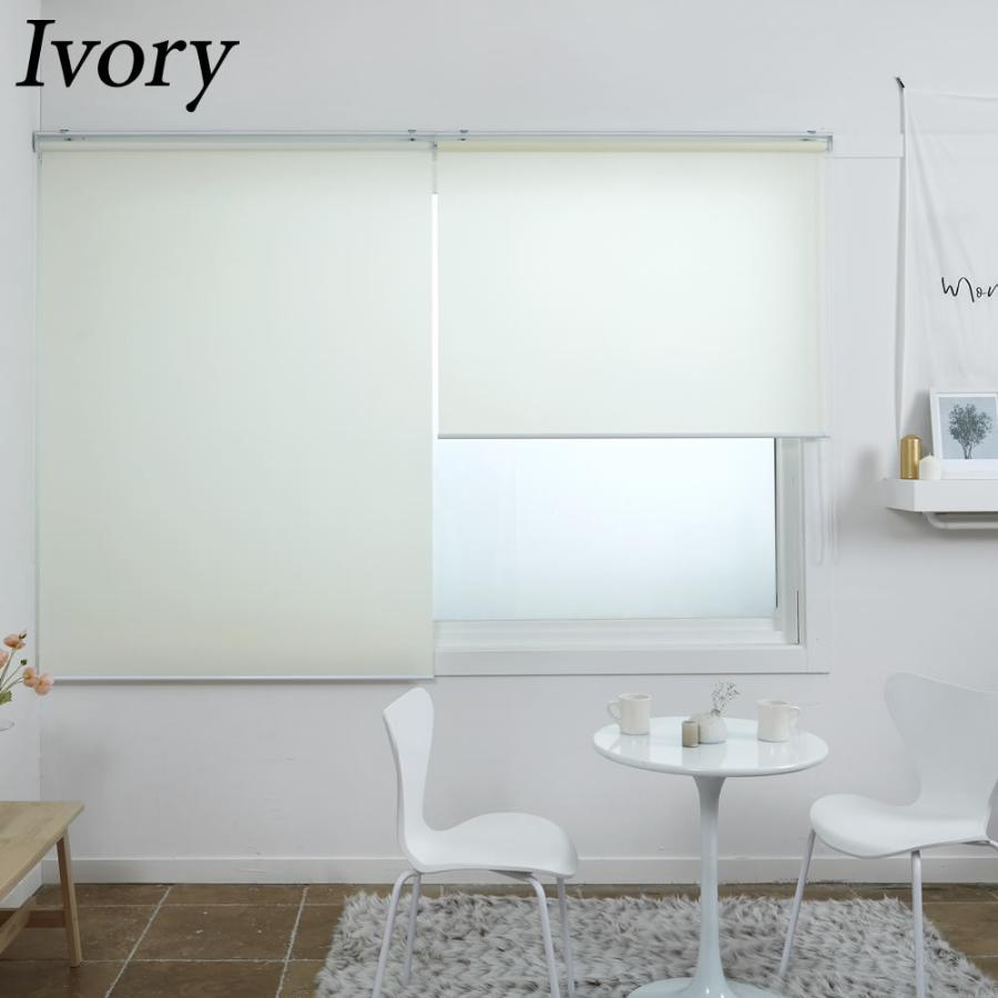 ロールスクリーン ロールカーテン オーダー 採光 tide/velour/shuffle 横幅141-180cm &times; 高さ30-60cm  ロールカーテン