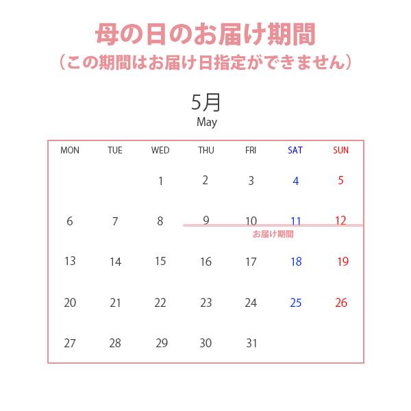 季節のお花でフローリストのおまかせ ラウンド・アレンジメント Mサイズ［RA-M］ 母の日 敬老の日 ギフト 誕生日 御祝 お祝い 開店祝い 就任祝い 送料無料｜ricochet-petit｜08