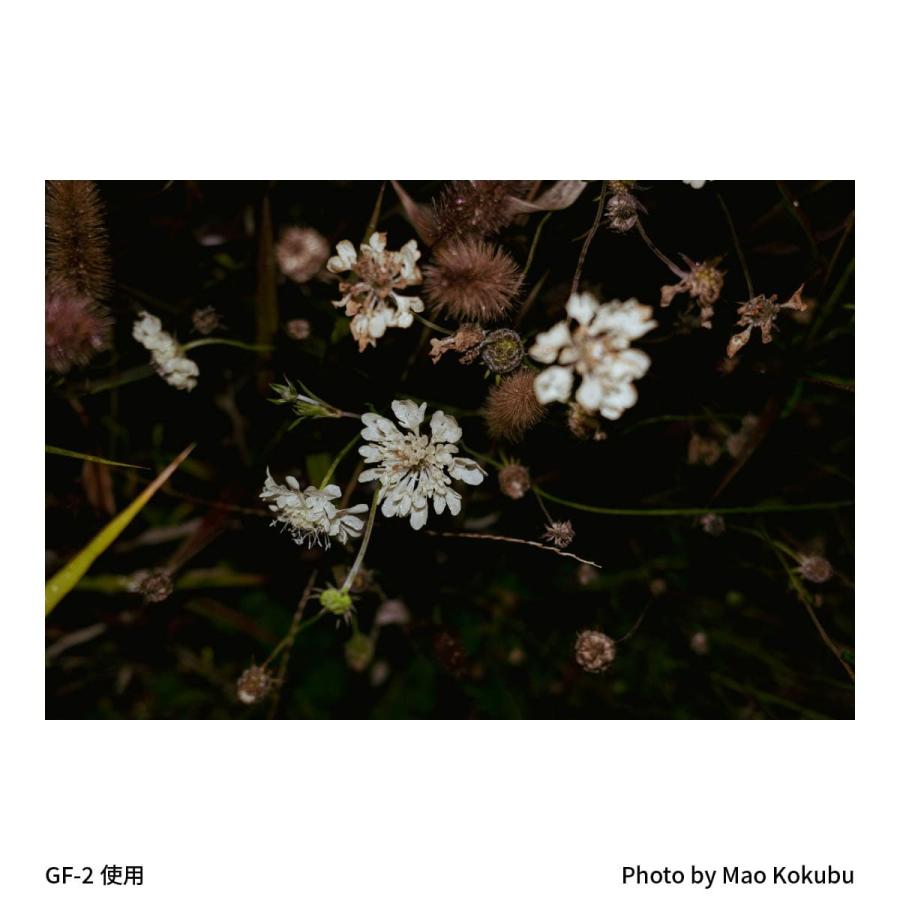 リコー（RICOH） 小型フラッシュ GF-2 / ガイドナンバー3 / RICOH GR
