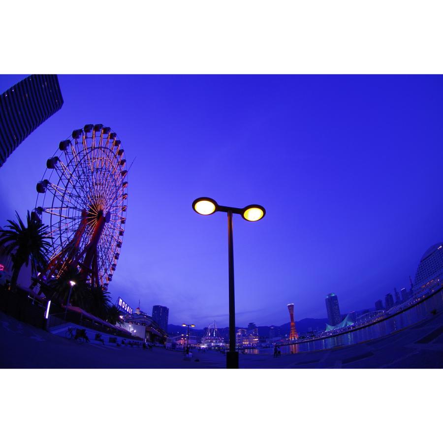 HD PENTAX-DA FISH-EYE10-17mmF3.5-4.5ED（ペンタックス APS-C Kマウント） 安心のメーカー直販 | ペンタックス | 12