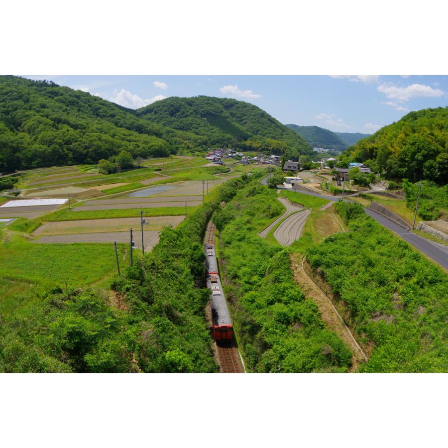 HD PENTAX-DA FISH-EYE10-17mmF3.5-4.5ED（ペンタックス APS-C Kマウント） 安心のメーカー直販 | ペンタックス | 08