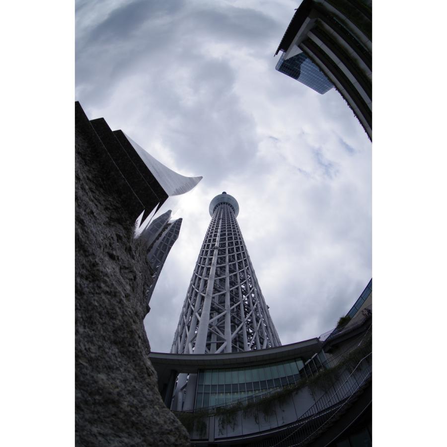 HD PENTAX-DA FISH-EYE10-17mmF3.5-4.5ED（ペンタックス APS-C Kマウント） 安心のメーカー直販 | ペンタックス | 09