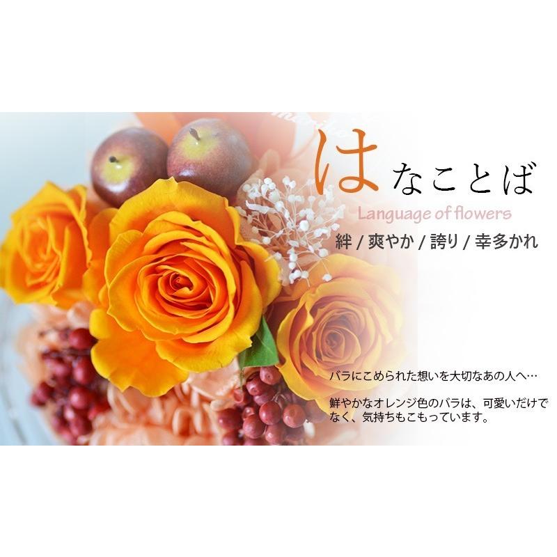 枯れなお花 枯れていく花の姿に、美しさを見た日｜大東早織