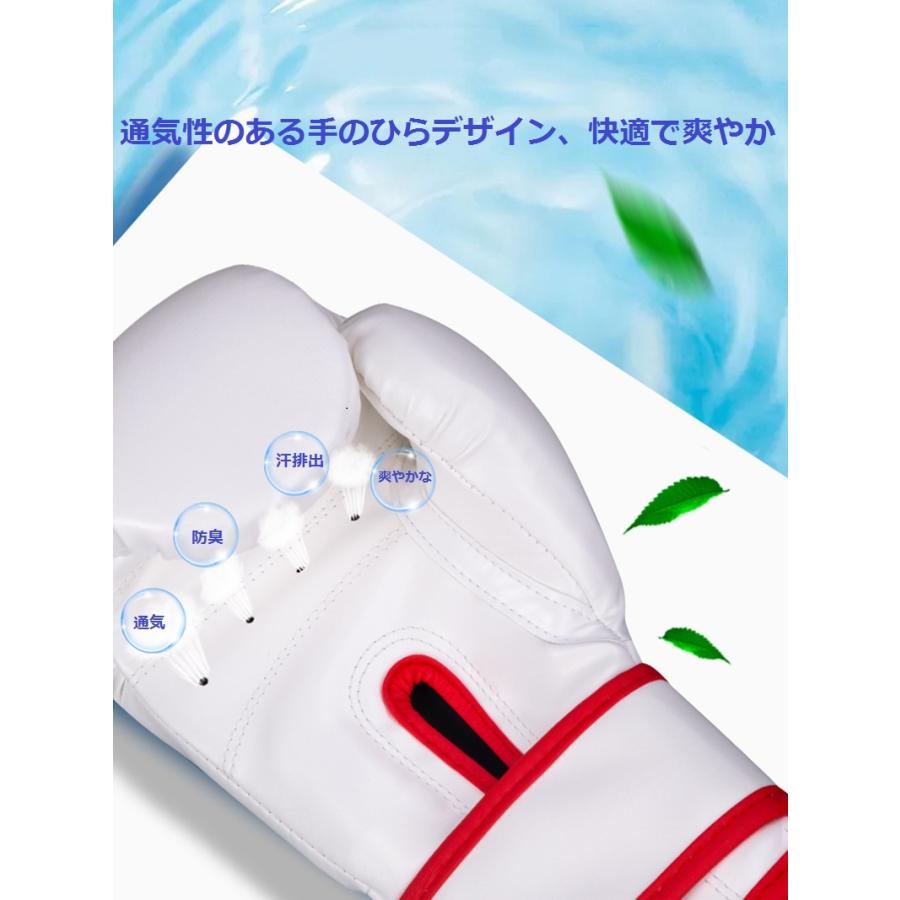 キックボクシングパッド ボクシング 5点セット ボクシンググローブ