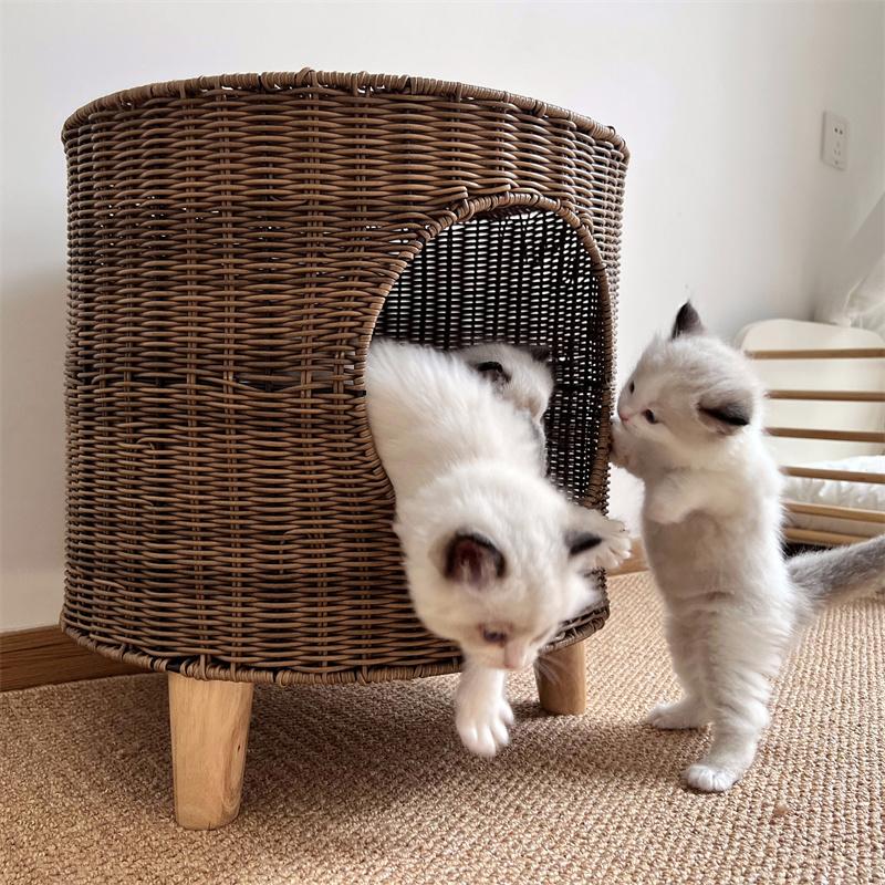 猫ペットベッド 丸ベンチ猫ハウス 通気性 通年利用 ねこ キャット