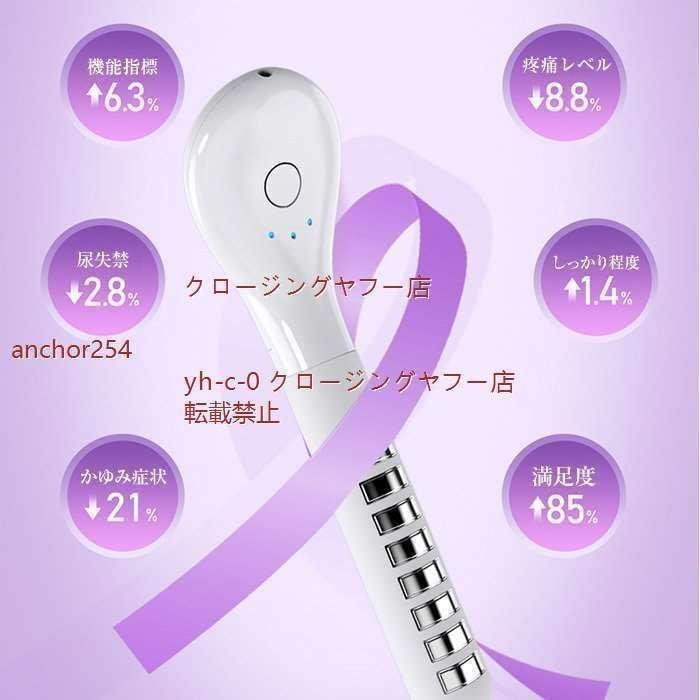 新春SALE！ 家庭用腟ケア器 膣トレ マッサージ 膣ケア器 膣ケア デリケートゾーンケア フェミニンケア マッサージ機能 骨盤底筋トレーニング USB 【2117425571】(12445円)