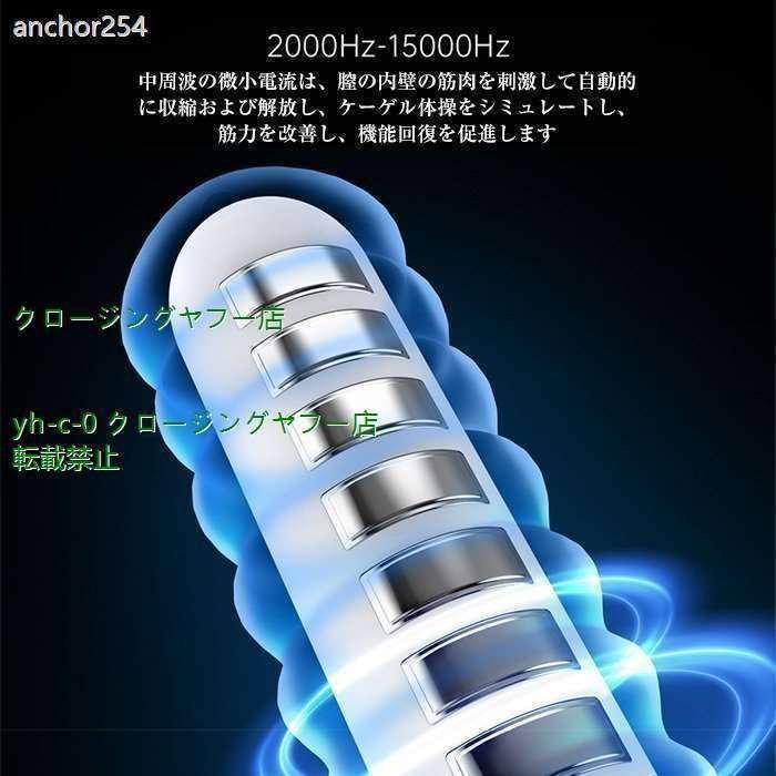 新春SALE！ 家庭用腟ケア器 膣トレ マッサージ 膣ケア器 膣ケア デリケートゾーンケア フェミニンケア マッサージ機能 骨盤底筋トレーニング USB 【2117425571】(12445円)