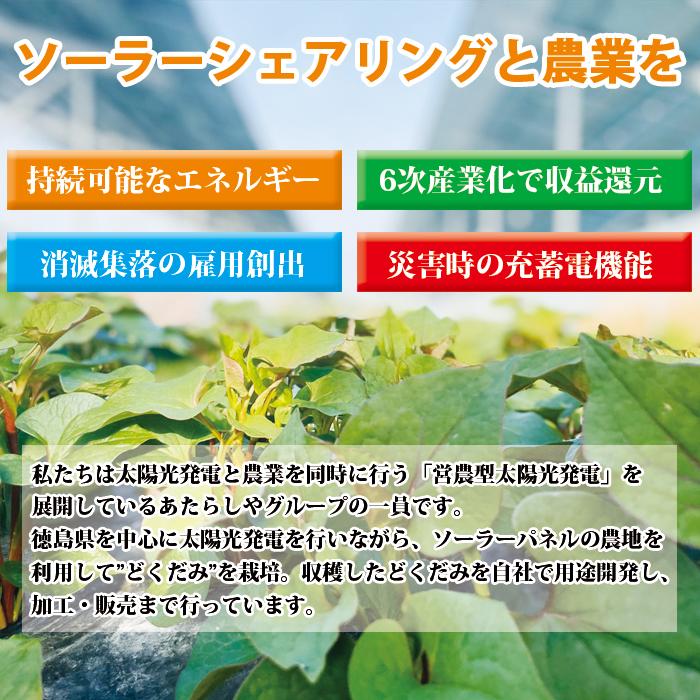 健康ドリンク 国産100％ ミネラル豊富 ギフト プレゼント 免疫サポート 健康維持 無農薬 植物性酵素 自然由来 体調管理 どくだみハーブ燦環四温-さんかんしおん-｜ridere-store｜03