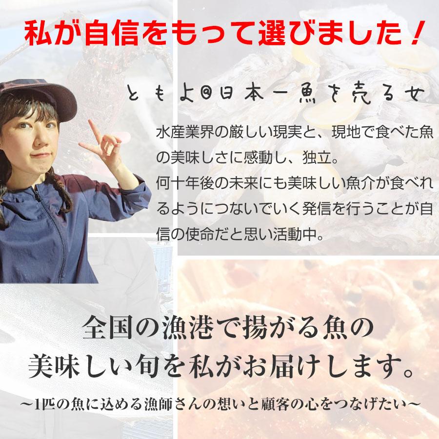 鮮魚ボックス 鮮魚セット おまかせ鮮魚 3kg 魚介セット 生産者直送 朝どれ 朝獲れ 冷蔵 長崎佐世保 色箱の詰め合わせ｜ridetheship｜02