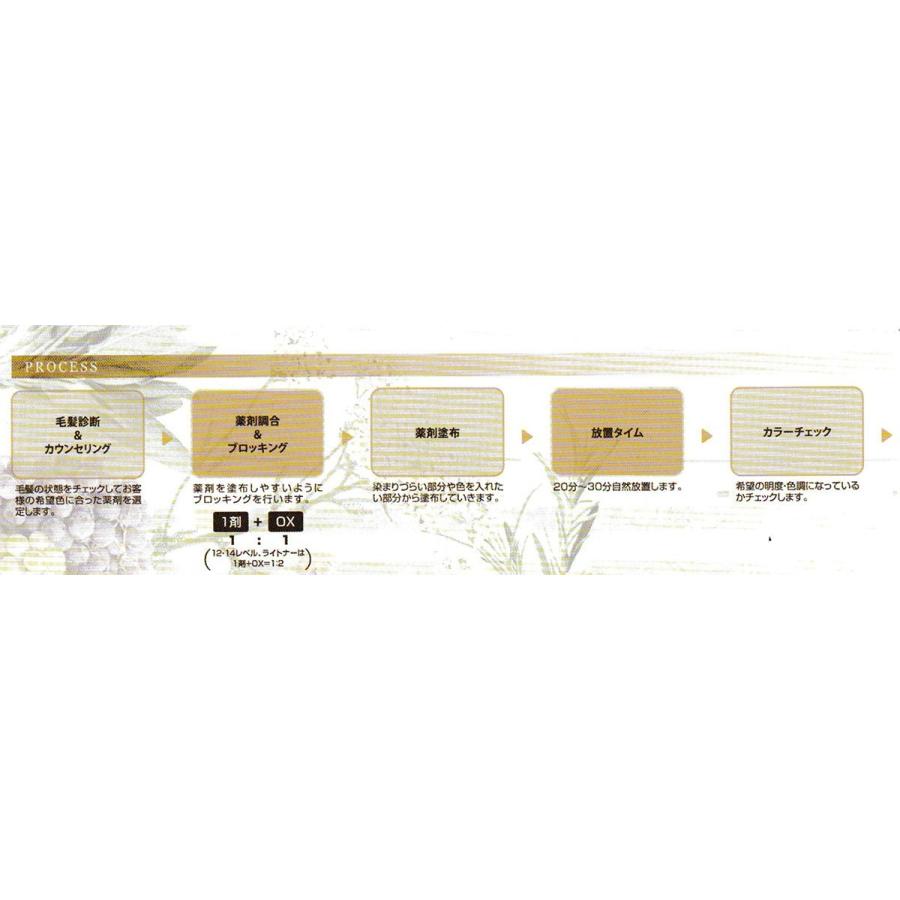 napla（ナプラ） ナシードカラー ファッション N-As10 アッシュ 80g