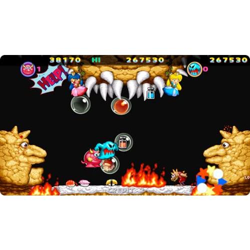 SNOWBROS. NICK & TOM SPECIAL(スノーブラザーズ スペシャル) - Switch