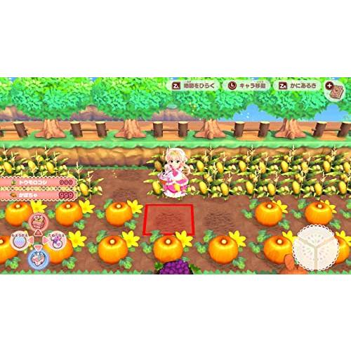 プリティ・プリンセス マジカルガーデンアイランド -Switch : リフテン