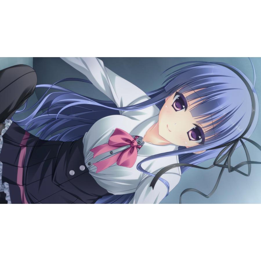 PriministAr -プライミニスター- -Switch : リフテン.com - 通販