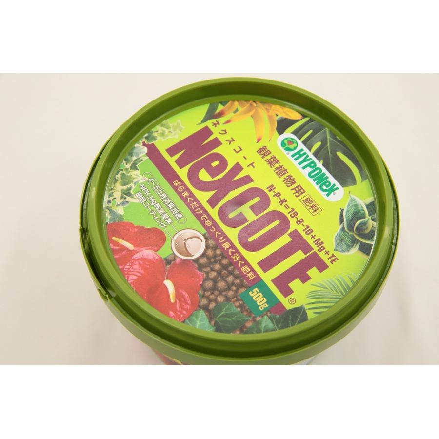 はなこ ハイポネックスジャパン ネクスコート 観葉植物用 500g×3セット Eア2