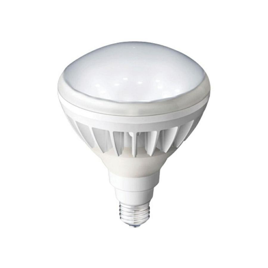 送料無料 岩崎電気 レディオック LEDアイランプ 14W E26口金 LDR14N-H