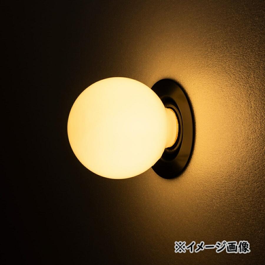 toolbox フラットレセップ LT-BR019-04-G141 E26 ブラック LED 電球