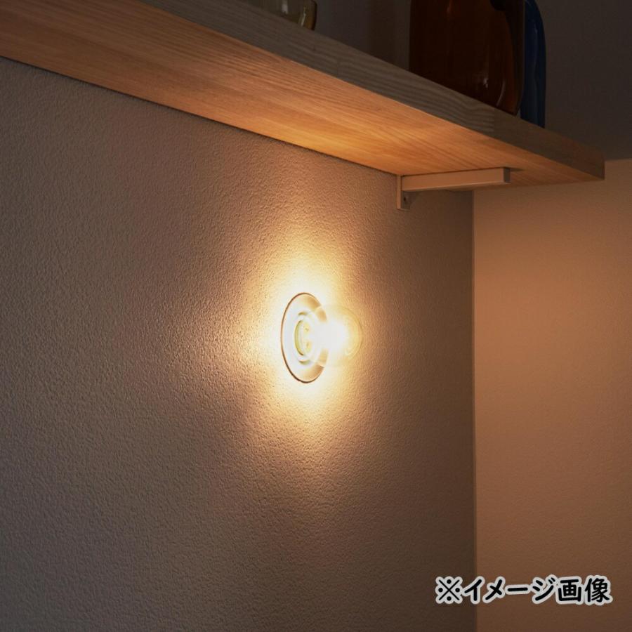 シェードランプ CORONA Toolbox 電球込み 廃材シェードランプ CORONA | LT-PD005-06-G092 | ペンダント