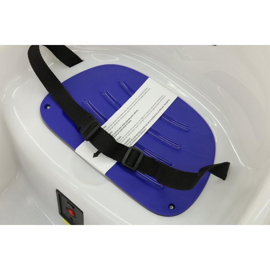 12ボルト グロー バンパーカー 12V 8種類ライトパターン1台 12ボルト グロー バンパーカー | Costco Japan