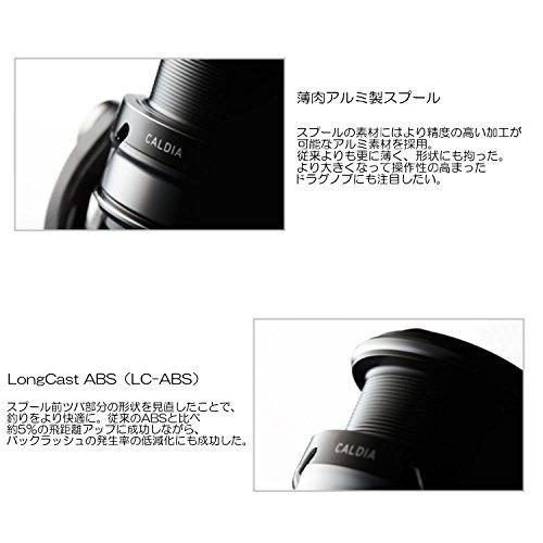ダイワ(DAIWA) スピニングリール 18 カルディア LT3000-CXH (2018モデル) LT3000 CXH