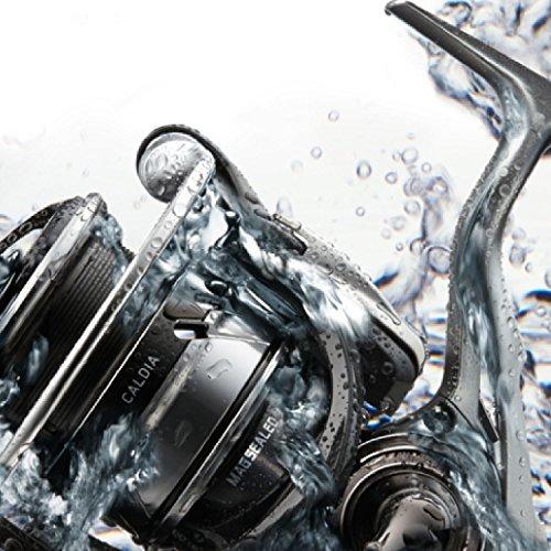 ダイワ(DAIWA) スピニングリール 18 カルディア LT3000-CXH (2018モデル) LT3000 CXH