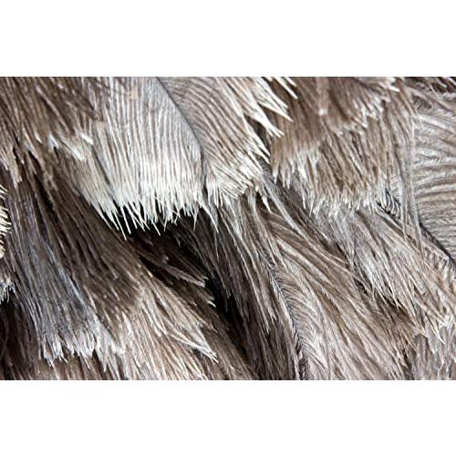 最大41%OFFクーポン ESCI 最高級の手造り毛ばたき オーストリッチ羽毛の最高品質 ファーストクラス フロスフェザー を使用 全長約